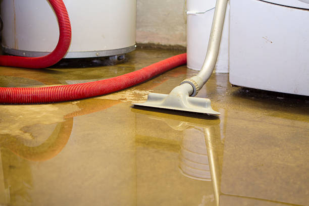Best Emergency water damage restoration  in China Grove, TX