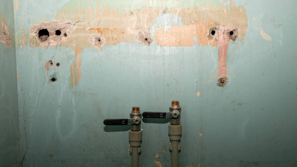 Best Water damage restoration services  in China Grove, TX