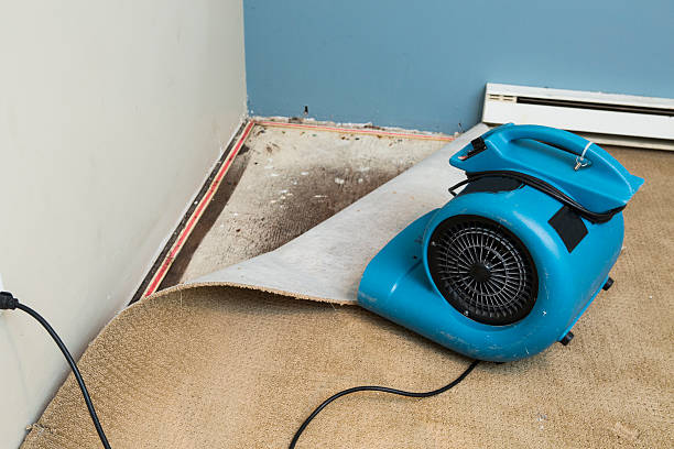 Best Carpet water damage restoration  in China Grove, TX